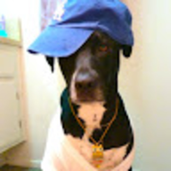 Meet your Posher, Vered - Picture 1 of 1